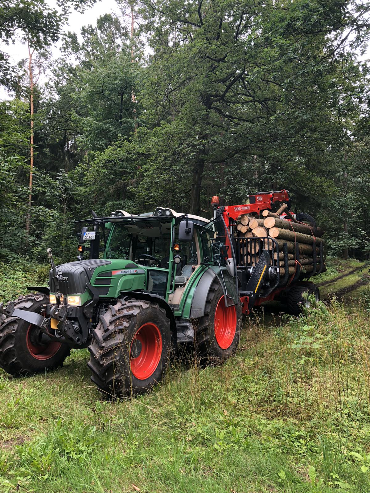 Wald
