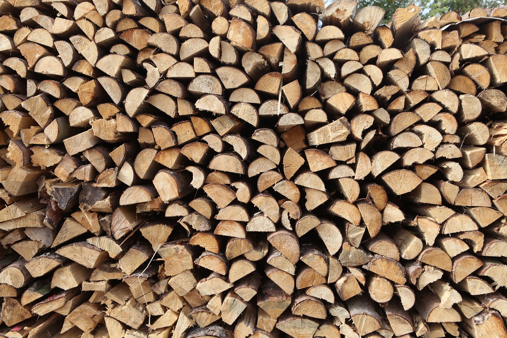 Holz
